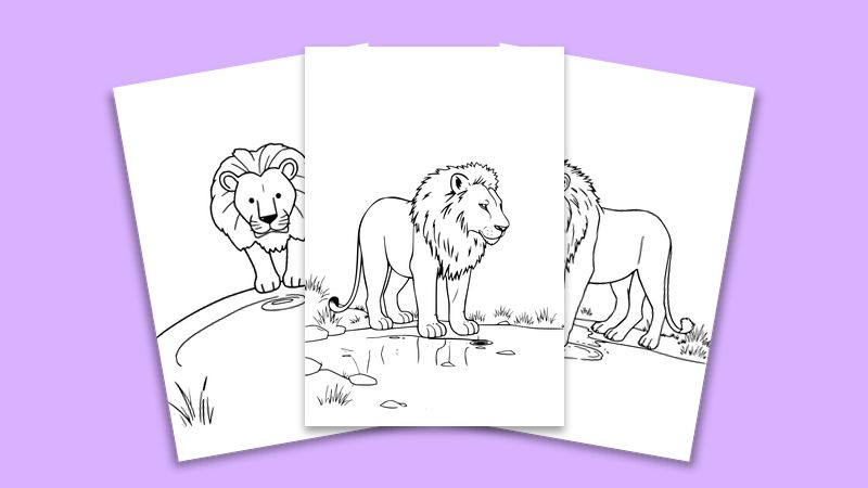 Animals