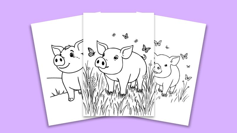 Farm Animals