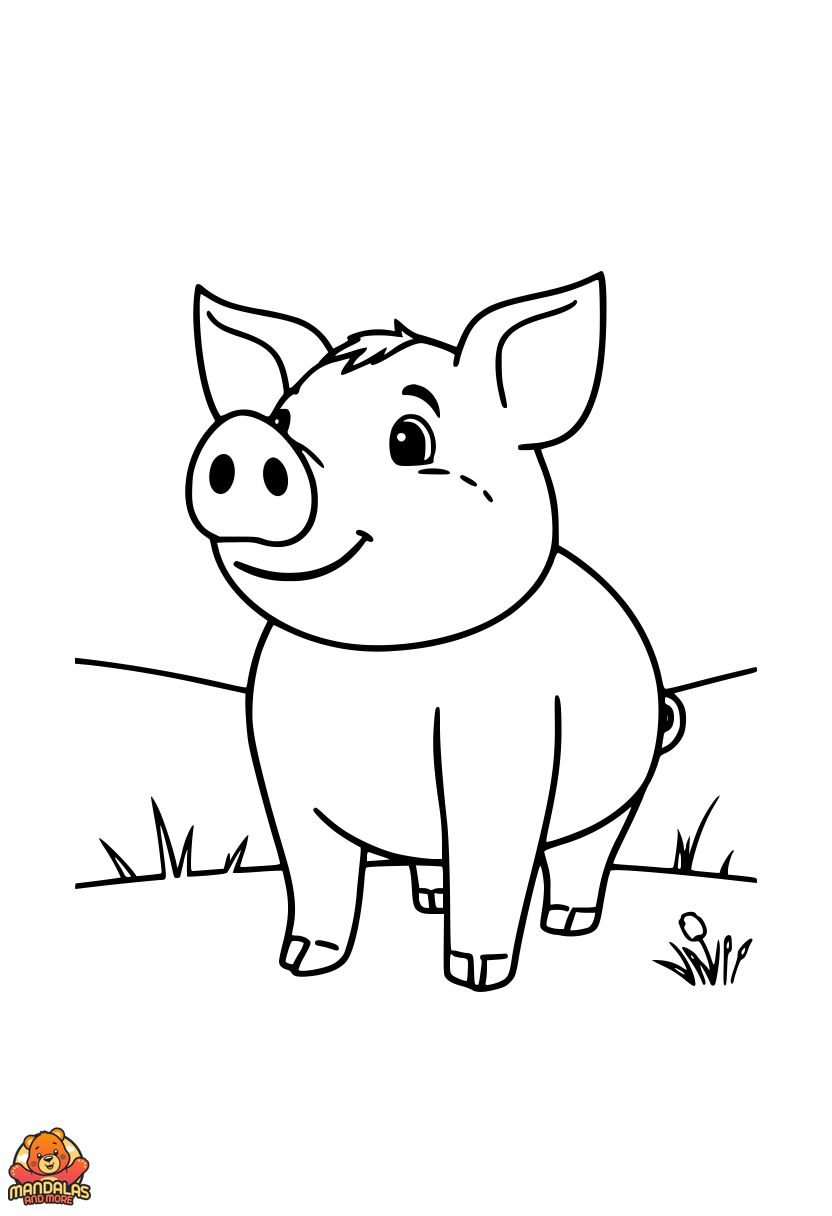 Pigs