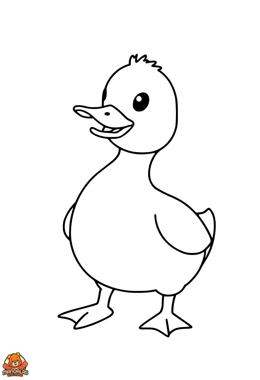Ducks
