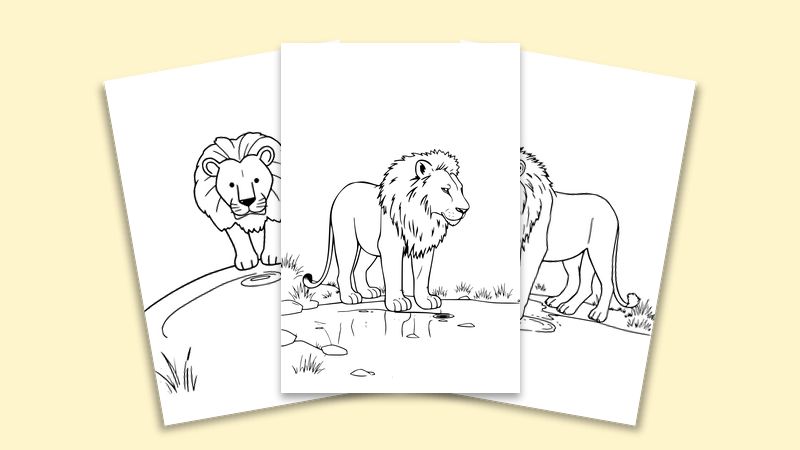 Wild Animals