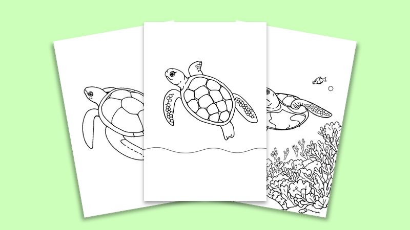 Marine Animals