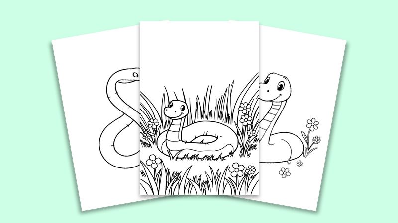 Reptiles and Amphibians