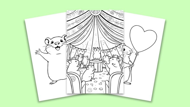 Small Mammals