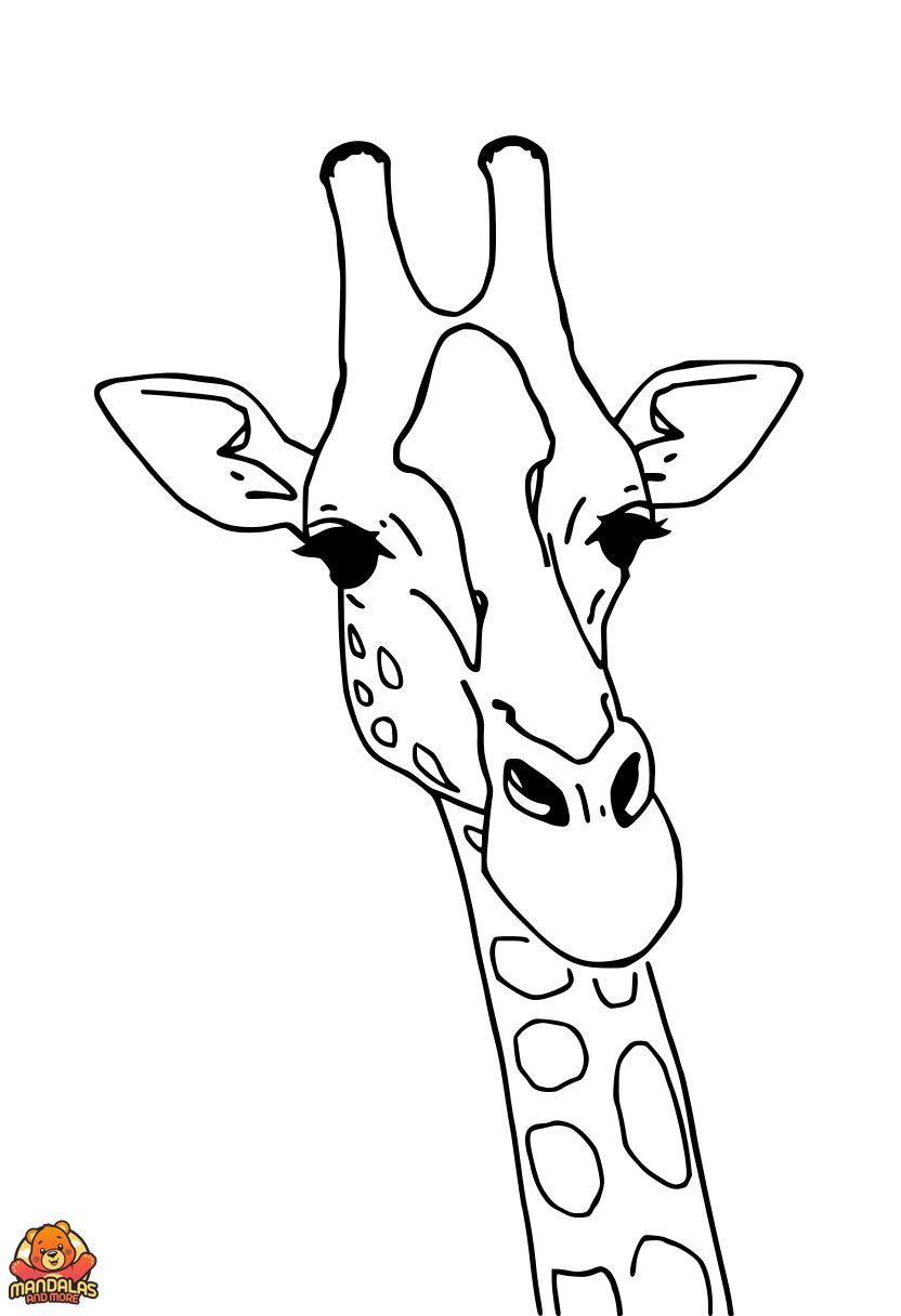 Free Giraffes Face Coloring Page for Kids
