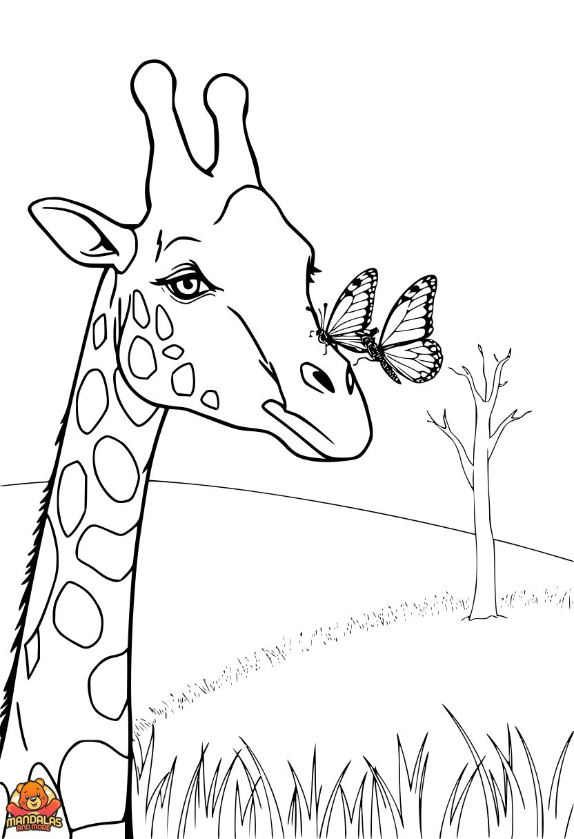 Giraffes Coloring Page - Free & Printable Fun