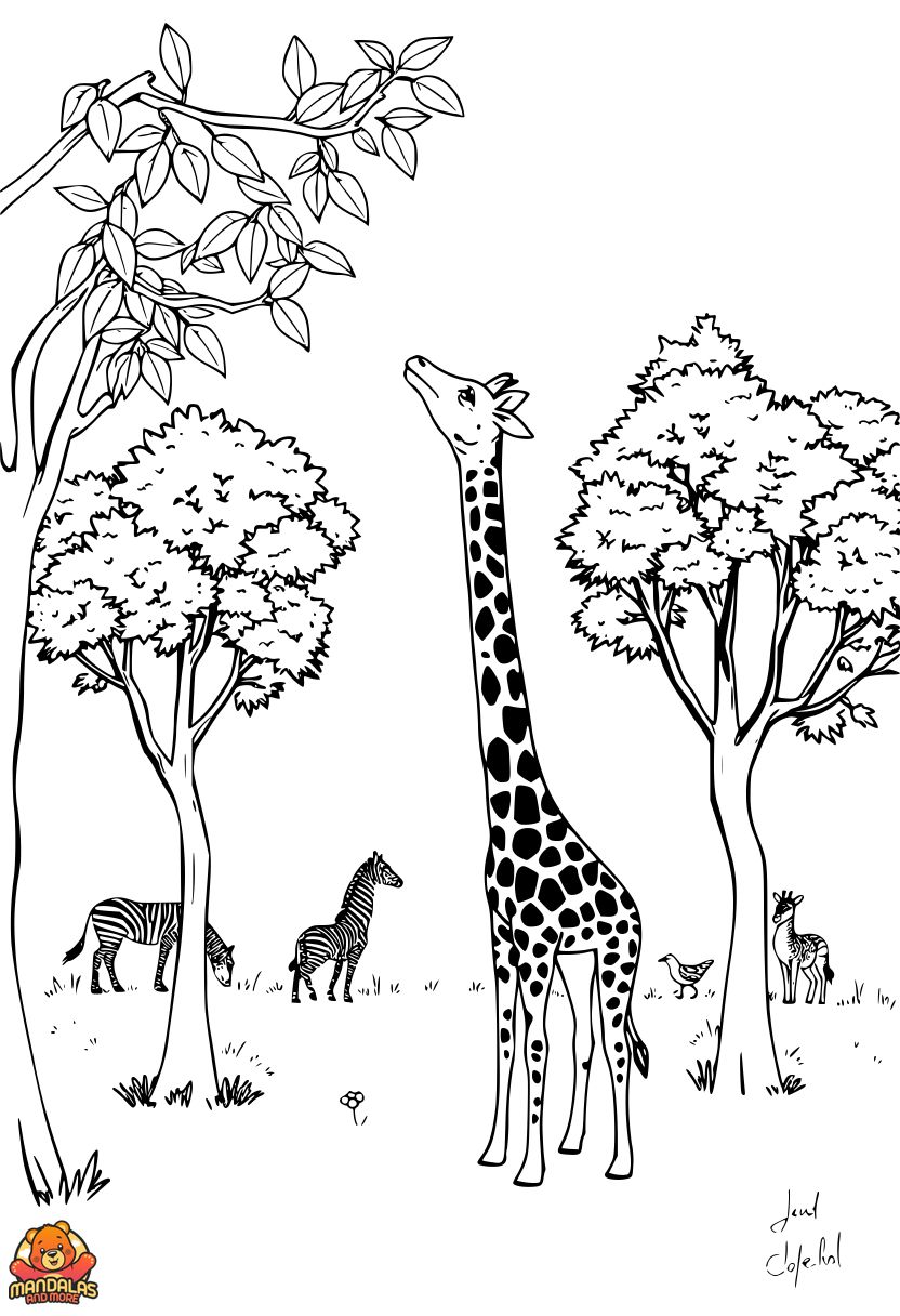 Free Printable Giraffe Coloring Page for Kids