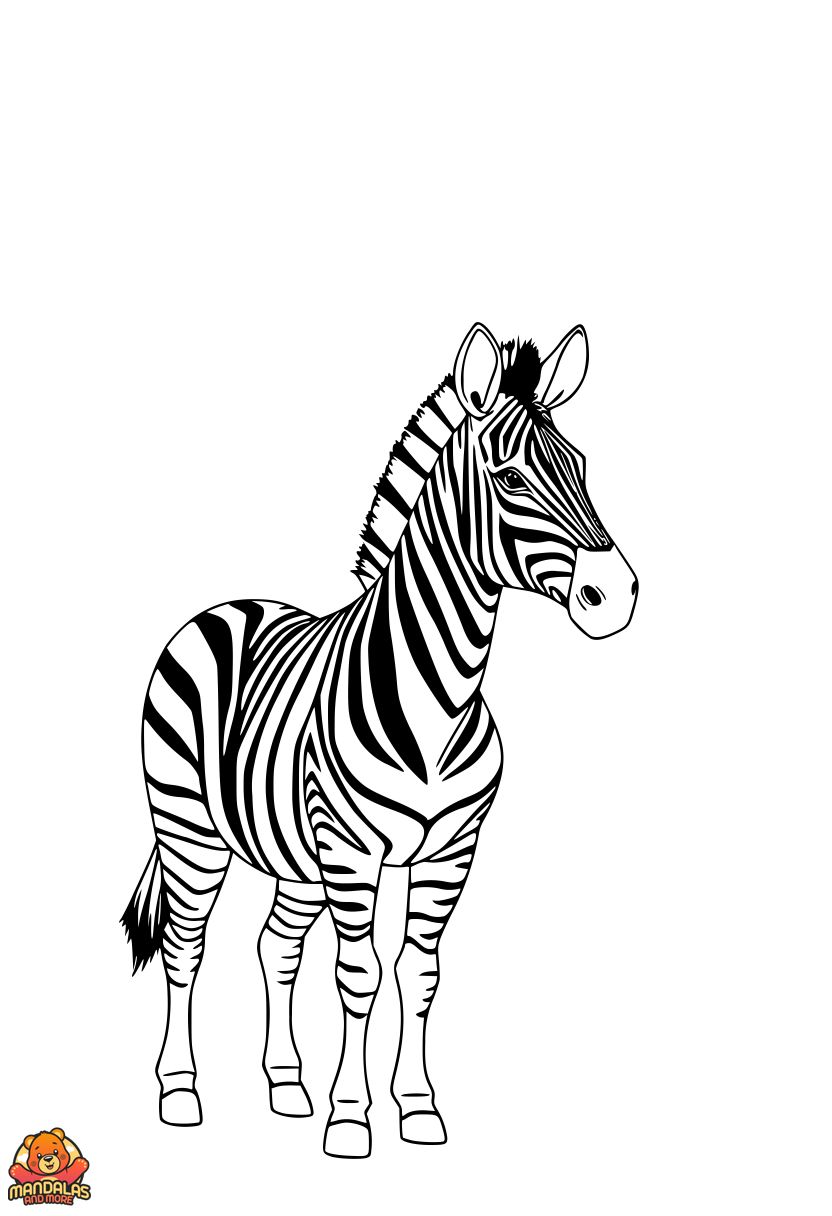 Free Zebra Coloring Page for Kids