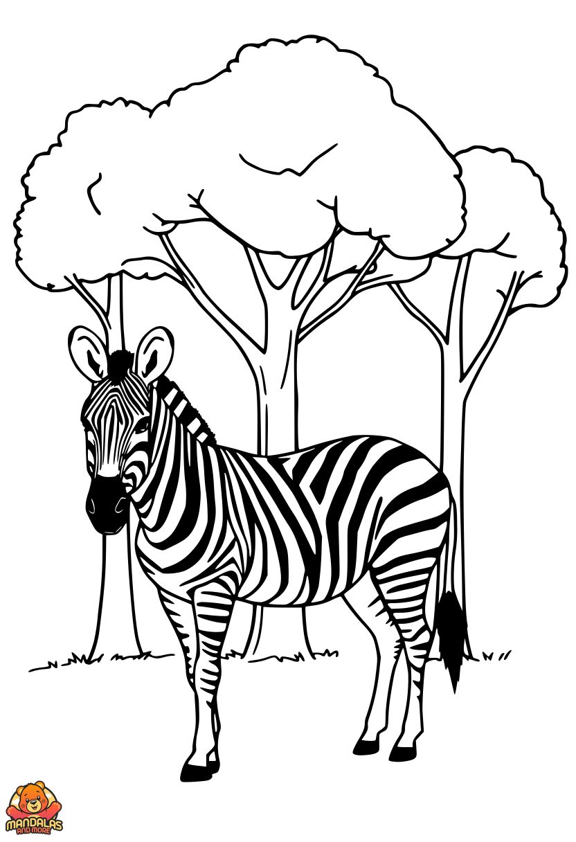 Free Zebra Coloring Page - Simple & Fun for Kids