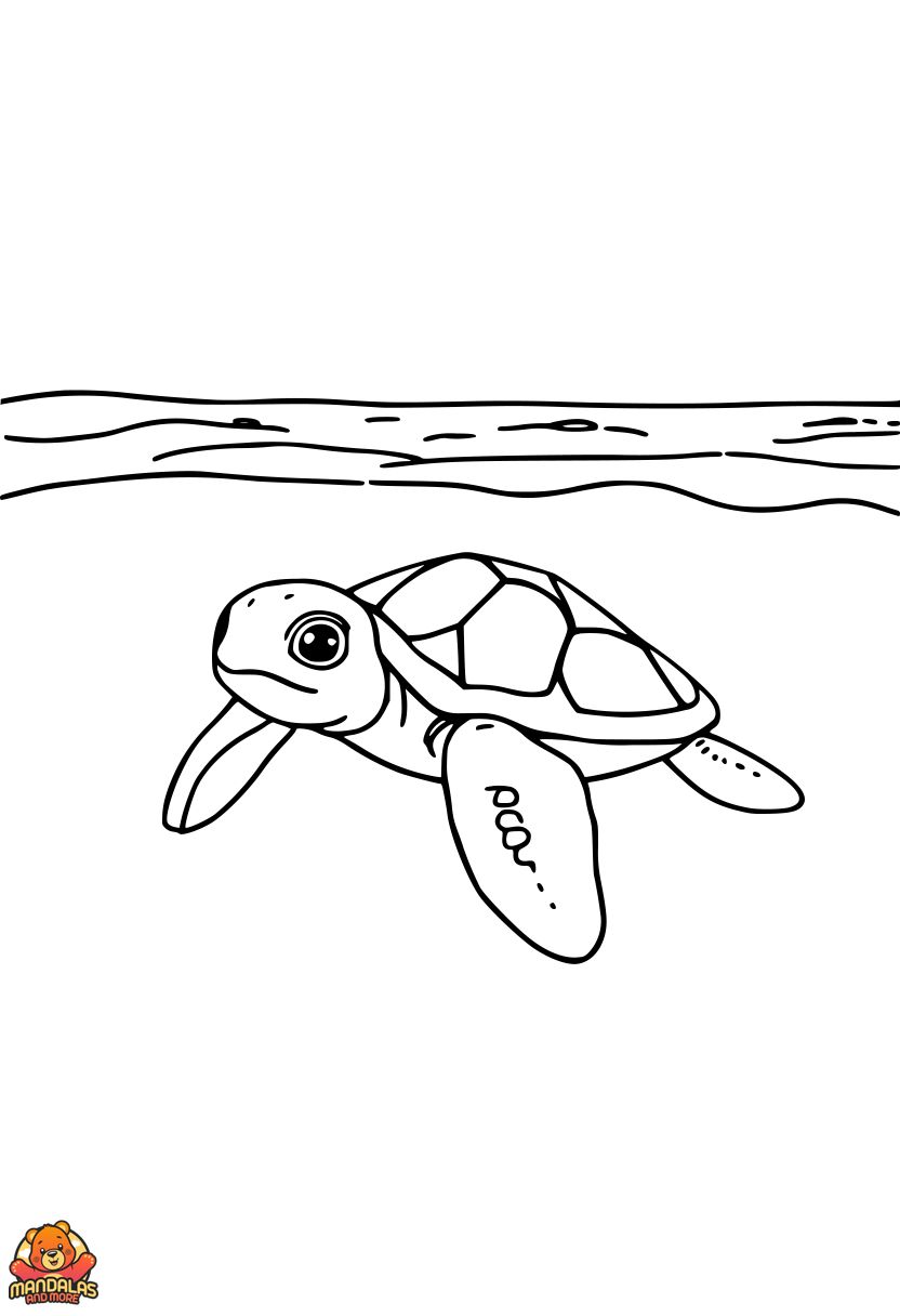 Free Baby Sea Turtles Coloring Page for Kids