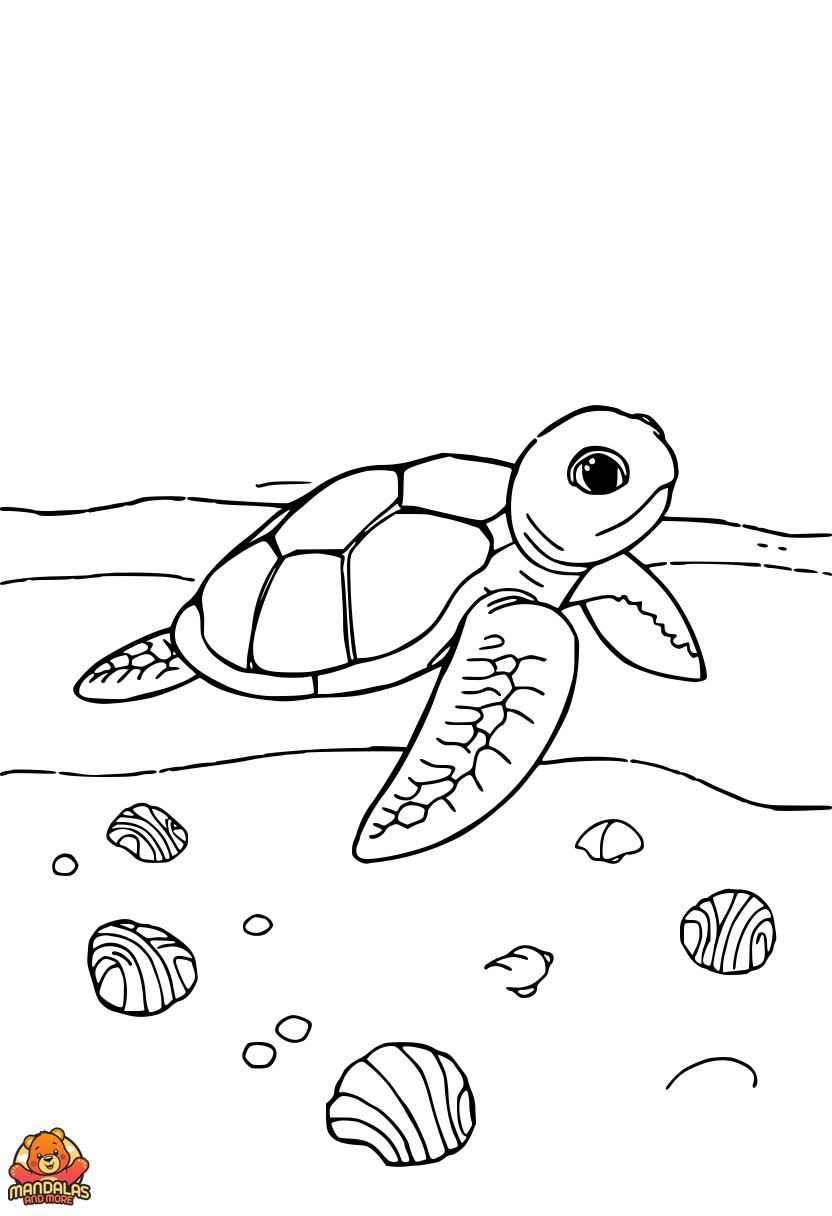 Free Printable Sea Turtle Coloring Page for Kids