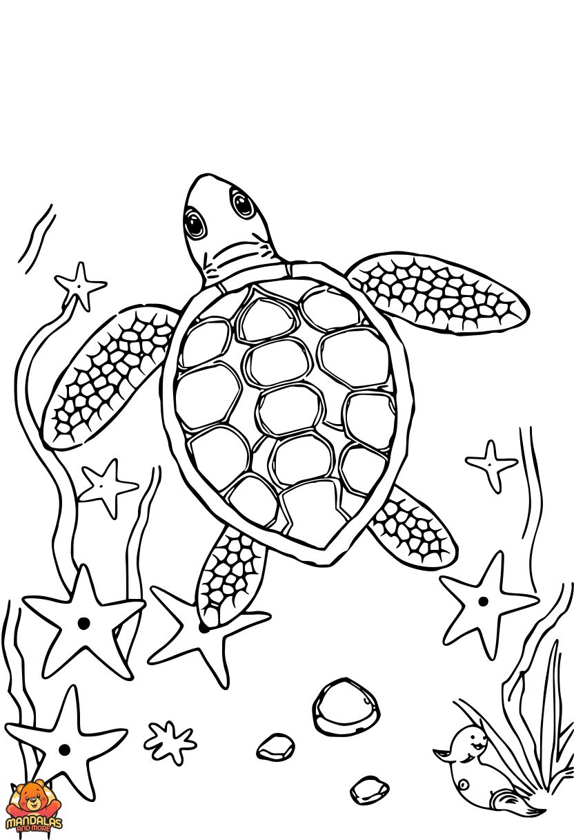 Free Sea Turtle Coloring Page with Starfish