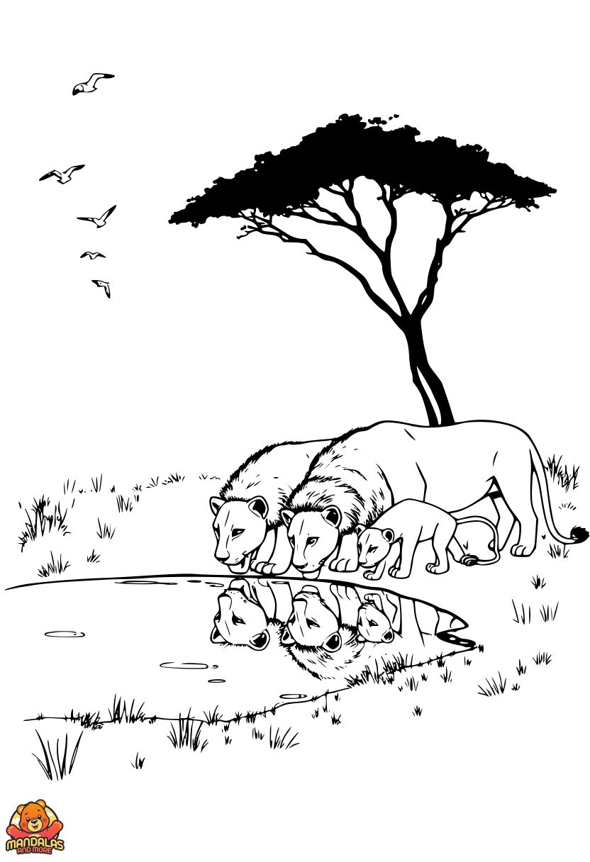 Free Printable Lion Family Coloring Page