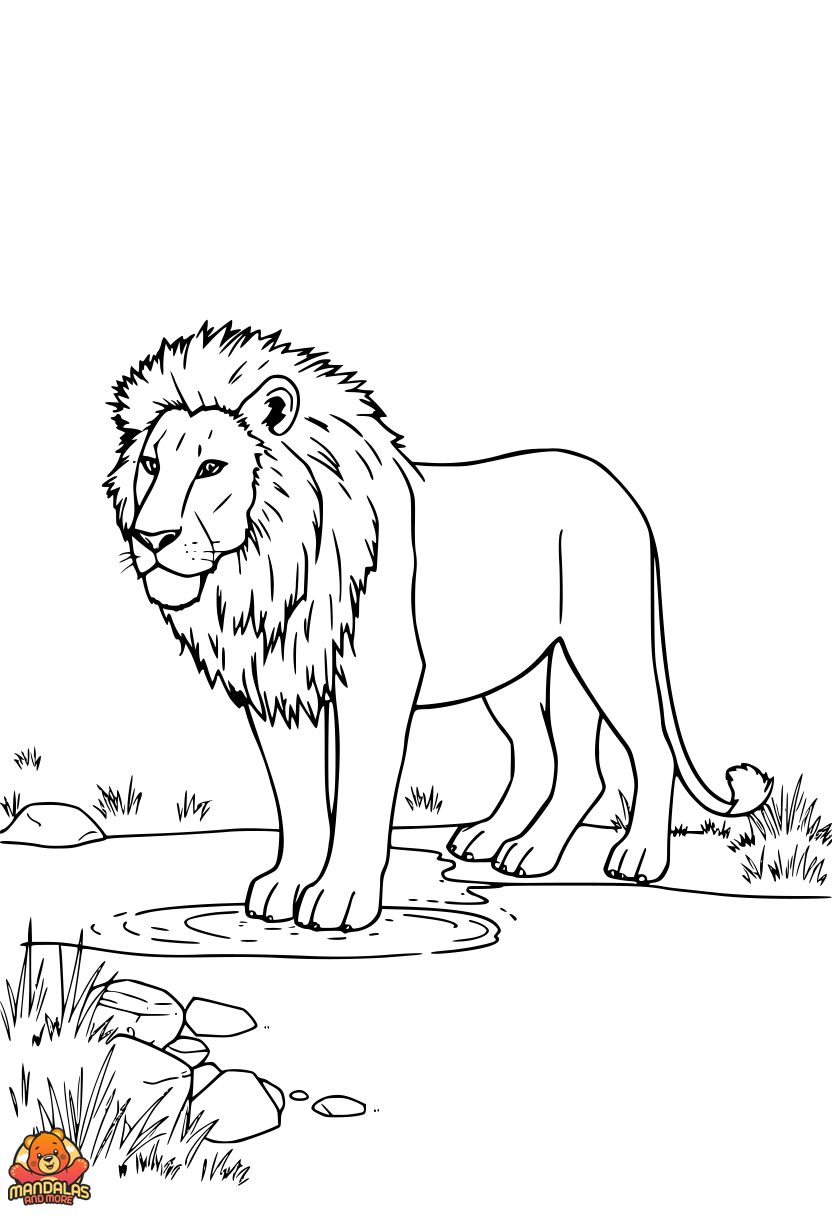 Free Printable Lion Coloring Page by the Lake