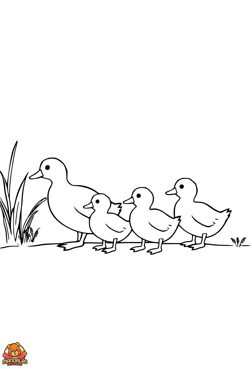 Printable Ducks Coloring Page for Kids