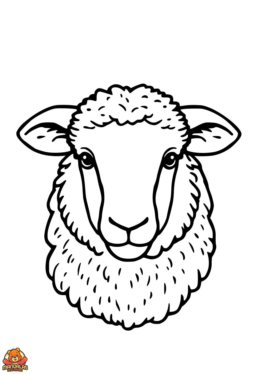Free Printable Sheep Coloring Page for Kids