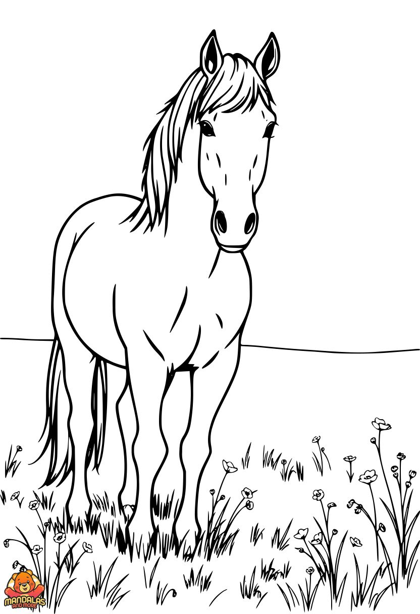 Free Horse in Meadow Coloring Page - Printable Fun