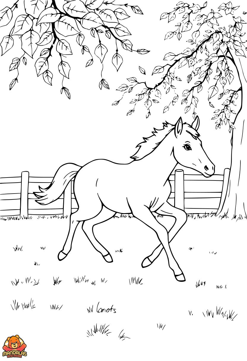 Free Printable Foal Horses Coloring Page