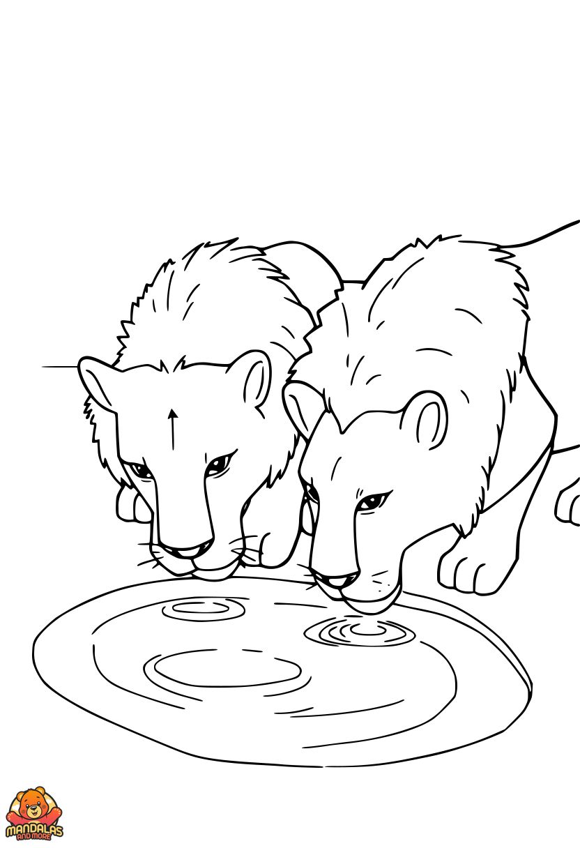 Free Lion Coloring Page with Watering Hole Scene