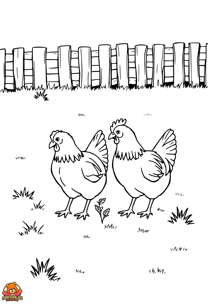 Chickens Coloring Page - Free Printable Fun