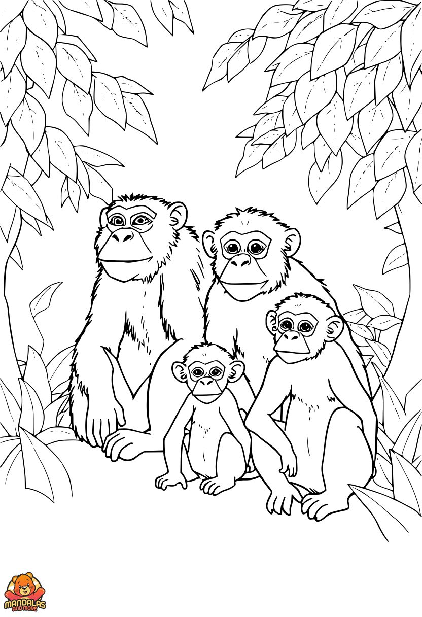 Free Monkeys Jungle Coloring Page for Kids