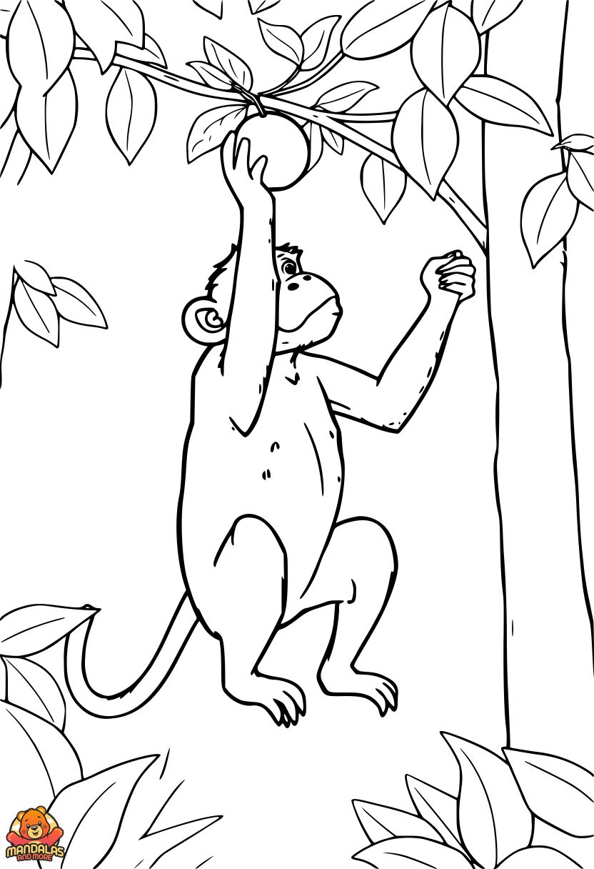 Free Printable Monkey Coloring Page in a Forest